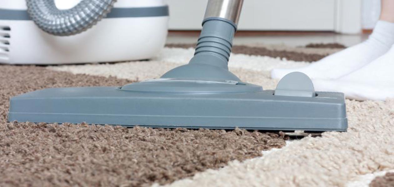 Why Professional Carpet Cleaning is Essential for Health – Northern ...